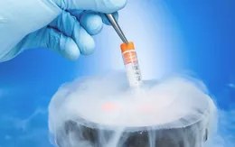 Thụ tinh từ phôi đông lạnh làm tăng nguy cơ ung thư cho trẻ