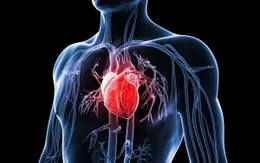 Bước tiến mới trong xác định nguyên nhân gây các bệnh nguy hiểm