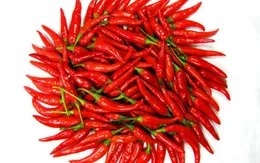 Giảm nguy cơ đau tim, đột quỵ nhờ ăn nhiều ớt