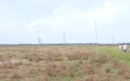 Chưa có quyết định thu hồi đất nhưng vẫn buộc người dân ngừng sản xuất