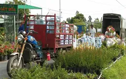 Chấn chỉnh thu phí ở làng hoa Sa Đéc