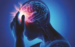 Phát triển thành công loại gel từ tế bào gốc giúp điều trị tổn thương não bộ