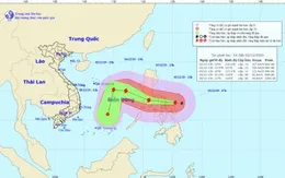 Các địa phương từ Quảng Ninh đến Cà Mau chủ động ứng phó với bão Kammuri