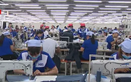 Gần 50% doanh nghiệp tạm dừng kinh doanh trong 11 tháng qua