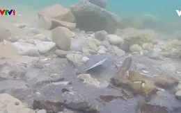 Phát hiện đê biển có niên đại 7.000 năm