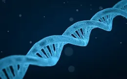 Phát hiện biến thể gene gây vô sinh ở nam giới