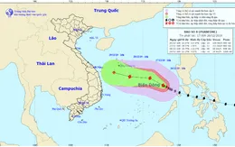 Các tỉnh, thành phố ven biển từ Thanh Hóa đến Bình Thuận chủ động với diễn biến của bão