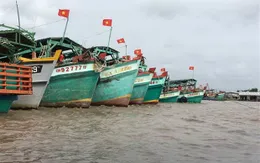 EC tiếp tục kiểm tra các khuyến nghị về khai thác IUU