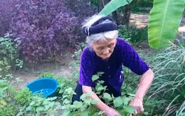 Tết ấm ở những gia đình tình nguyện viết đơn thoát nghèo