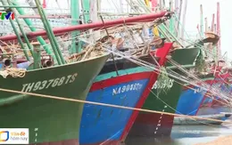 Tàu cá nằm bờ, ngư dân sốt ruột chờ bảo hiểm để ra khơi