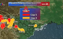 Cảnh báo cháy rừng bùng phát