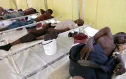Nigeria tuyên bố bùng phát dịch sốt xuất huyết Lassa