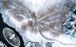 “Đẹp lịm tim” cảnh sắc trong trẻo ngày tuyết rơi dày như chốn tiên cảnh
