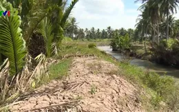 Đê bao thủy lợi vừa nghiệm thu đã hỏng