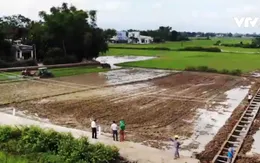 Sao Thần nông: HTX nông nghiệp thu hàng trăm tỷ đồng mỗi năm