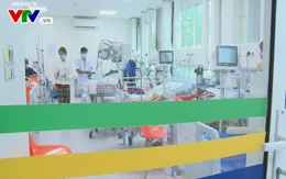 TP.HCM: 9 trường hợp tử vong do sốt xuất huyết