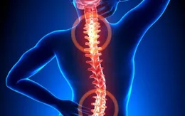 Nhật Bản cấp phép thử nghiệm lâm sàng dùng tế bào gốc điều trị tổn thương tủy sống