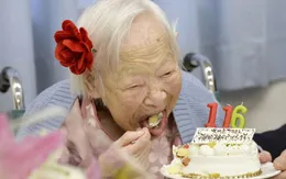 Giải mã bí quyết giúp người Nhật sống thọ nhất thế giới