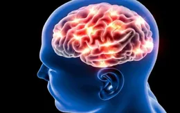 Huyết áp cao có thể làm thu nhỏ não người trẻ