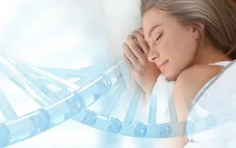 Phát hiện gene gây ngủ
