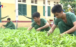 Tết giản dị của các chiến sĩ trên đảo Hòn Khoai