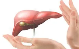 Gan của bạn có đang ở trạng thái nguy hiểm?