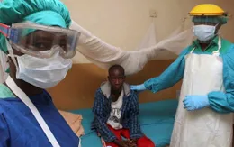 Gia tăng số ca tử vong do nhiễm virus sốt xuất huyết Lassa ở Nigeria