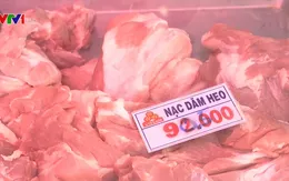 Dịch tả lợn châu Phi có thể làm kiệt quệ ngành chăn nuôi