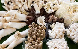 Nấm có thể giảm nguy cơ suy não nhẹ