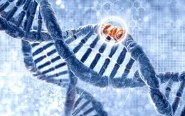 Kêu gọi ngừng tất cả nghiên cứu chỉnh sửa gene trên trẻ sơ sinh