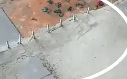 TP.HCM sẽ xử phạt trường hợp gắn đinh trên vỉa hè gây nguy hiểm