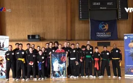 Diễn tập võ cổ truyền Việt Nam quốc tế tại Pháp