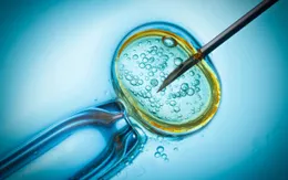 WHO kêu gọi thành lập cơ quan đăng ký và giám sát các nghiên cứu biến đổi gene người