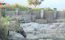 Nông dân Gia Lai chật vật chống nắng hạn