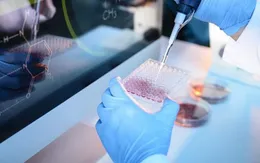 Kỹ thuật cấy ghép mới mở ra cơ hội duy trì khả năng sinh sản cho các bé trai mắc ung thư