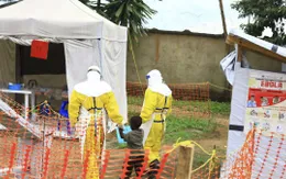 Congo: Gần 2/3 trong số 1.000 ca nhiễm virus Ebola tử vong trong vòng 8 tháng