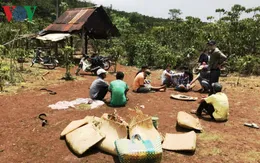 Công an đột nhập trường gà, 60 con bạc bỏ chạy tán loạn