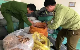 Hơn 7 tấn nguyên liệu thuốc bắc không rõ nguồn gốc bị thu giữ