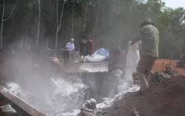 Đắk Lắk công bố dịch lở mồm long móng trên gia súc