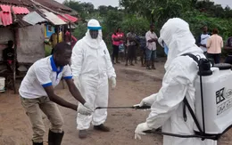 Hy vọng mới về vaccine đa năng phòng mọi chủng virus Ebola