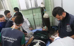 HĐBA LHQ thảo luận về vấn đề sử dụng vũ khí hóa học ở Syria