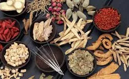 Trung Quốc chú trọng phát triển y học cổ truyền