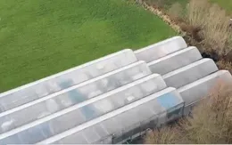 Nuôi tôm trong nhà kính tại Vương quốc Bỉ