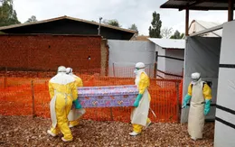 Hơn 750 người tử vong vì dịch Ebola tại Congo