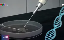 Mỹ: Bắt đầu sử dụng phương pháp chỉnh sửa gen điều trị ung thư