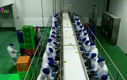 Những người mở đường xây dựng hợp tác xã kiểu mới