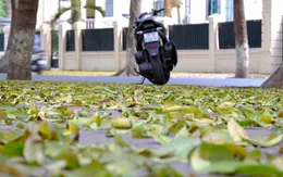 Hà Nội mùa lá sấu rụng