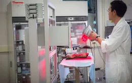 Mỹ phát triển kỹ thuật in da 3D lên vết thương
