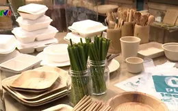 Nhiều sản phẩm thân thiện môi trường thay thế đồ nhựa dùng 1 lần