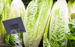 Mỹ: Bùng phát dịch E.coli khiến 72 người mắc bệnh